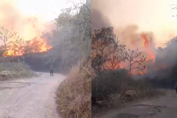  Video: Voraz incendio ha consumido 300 hectáreas en zona rural de Aguada, Santander